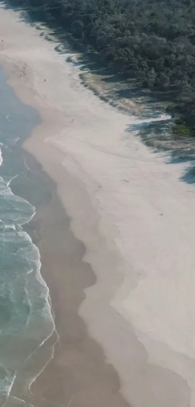 Aerial view of a serene beach with waves and coastal trees.