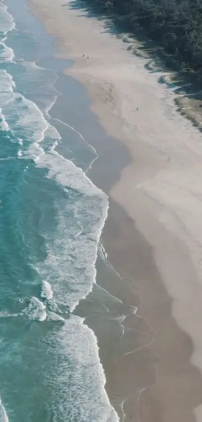 Aerial view of serene beach with waves and shoreline for mobile wallpaper.