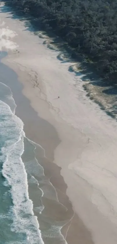 Aerial view of a tranquil beach with azure waves and a sandy shore.