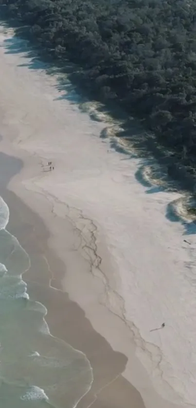 Aerial view of a serene and secluded beach.