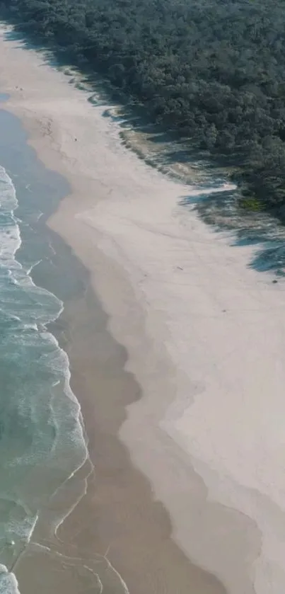 Aerial view of serene beach with waves and forest edge.