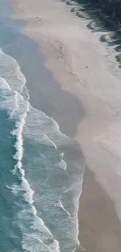 Aerial view of a tranquil sandy beach with gentle waves.