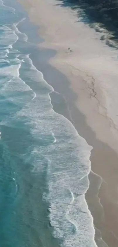 Aerial view of peaceful beach with waves meeting sandy shore.