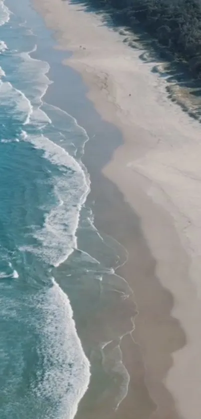 Aerial view of a serene beach with turquoise waves and sandy shores.