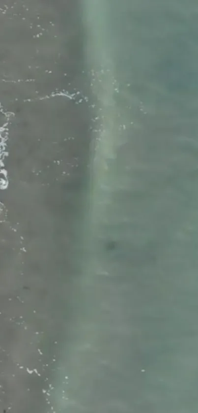 Aerial view of a serene beach with gentle ocean waves and soft sands.