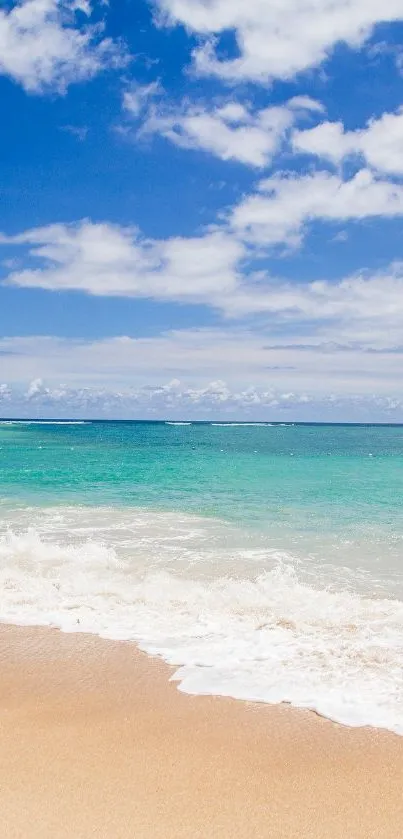 Serene beach with blue sky and clear ocean, perfect phone wallpaper.