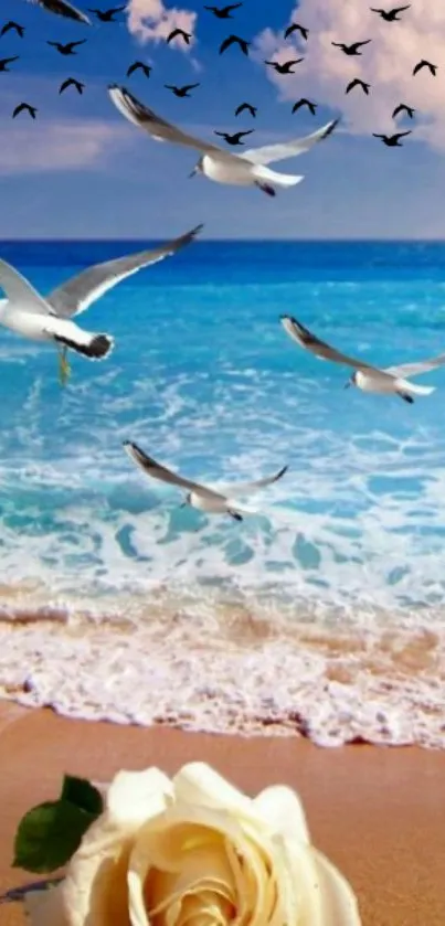 Beach with seagulls and a rose in the foreground under a blue sky.