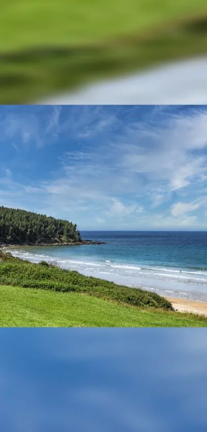 Serene beach scene with blue sky and lush greenery.