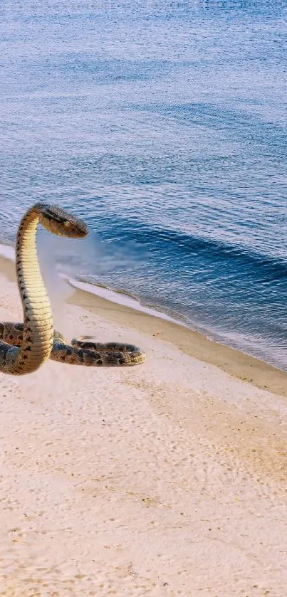 Mobile wallpaper of snake on a serene sandy beach and calm ocean.