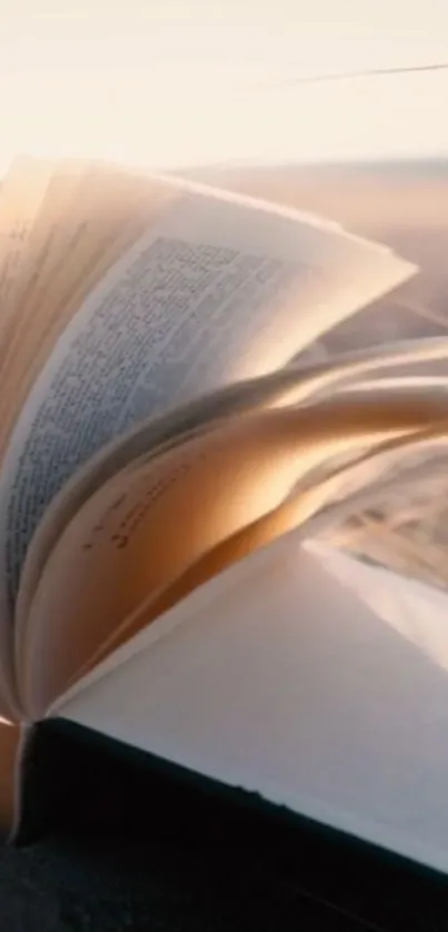 Open book on a beach at sunset, pages gently turning.