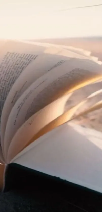 An open book with turning pages on a sunlit beach.