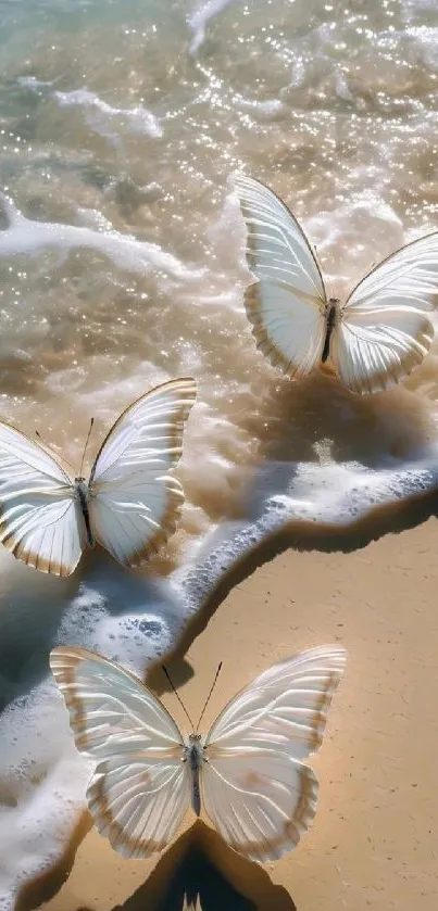 White butterflies fluttering on sandy beach.
