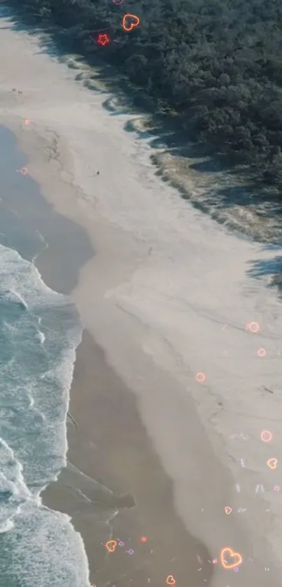 Aerial view of a serene beach with waves and forested coast in a calm setting.