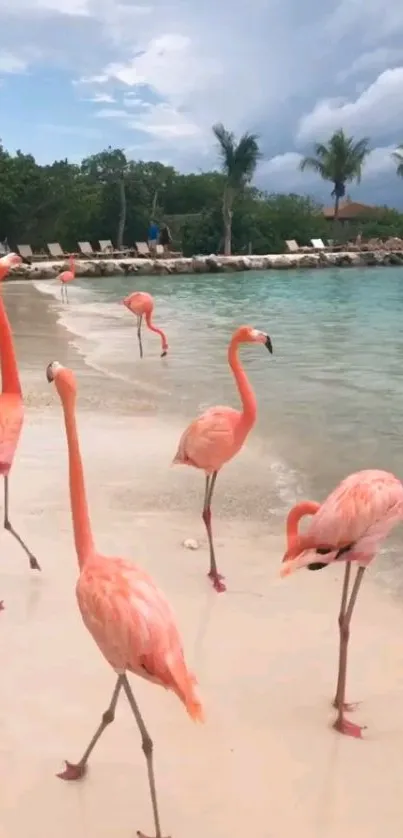 Flamingos grace a tropical beach under a blue sky.