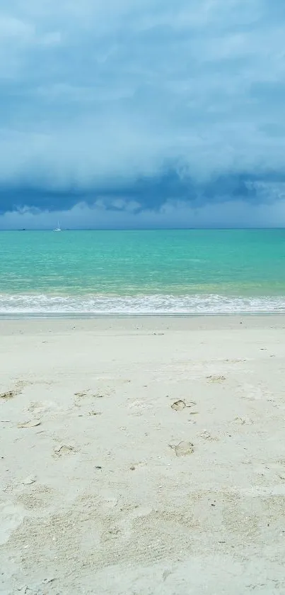 Calm beach with blue sky and horizon over ocean.