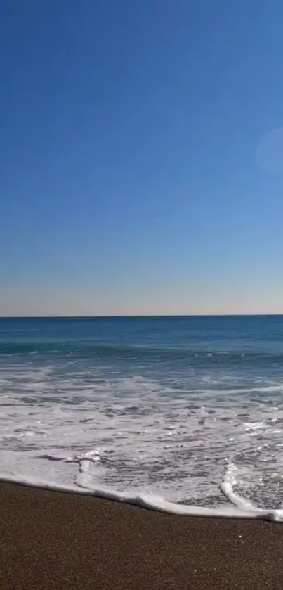 Serene beach with endless horizon under clear blue sky.