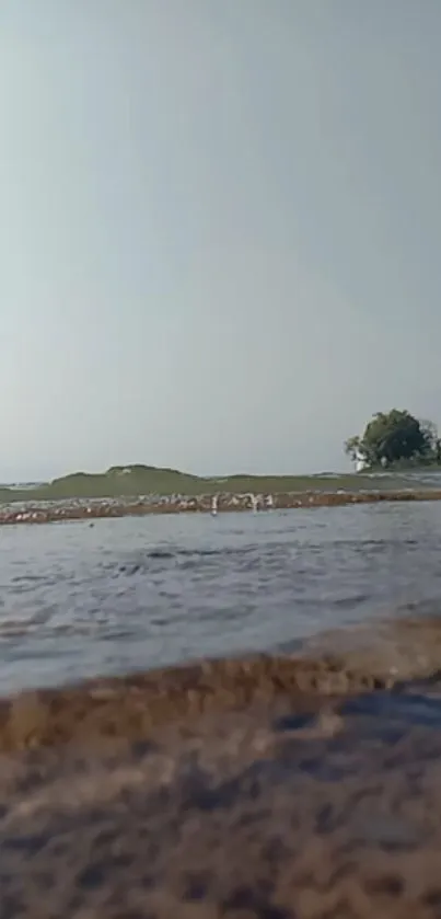 Serene beach with calm waters and distant greenery.