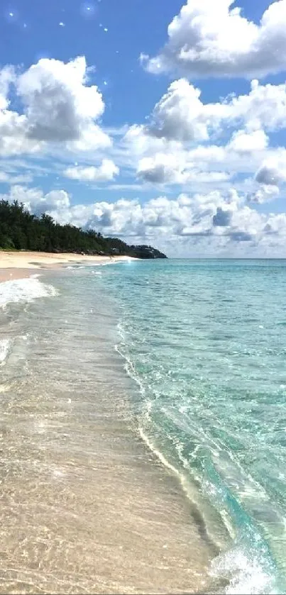 Serene beach with clear waters and vibrant blue sky.