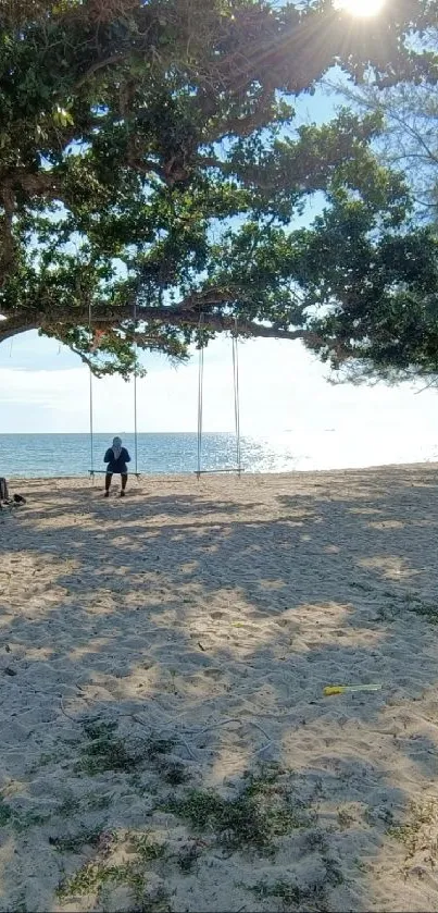 Serene beach wallpaper with trees and ocean horizon.