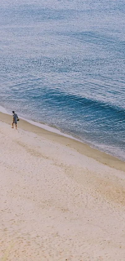 A serene beach with calm waves and sandy shore, perfect for a tranquil mobile background.