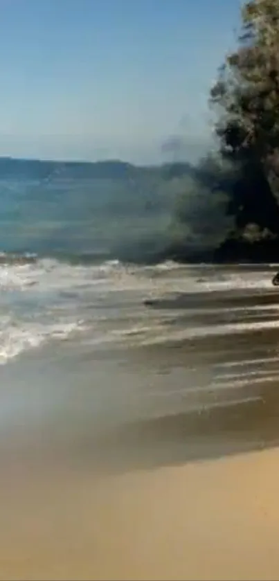 Serene beach with golden sands and ocean waves in a tropical setting.