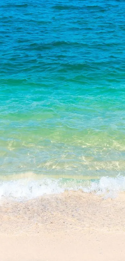 Peaceful beach wallpaper with blue ocean waves and sandy shore.