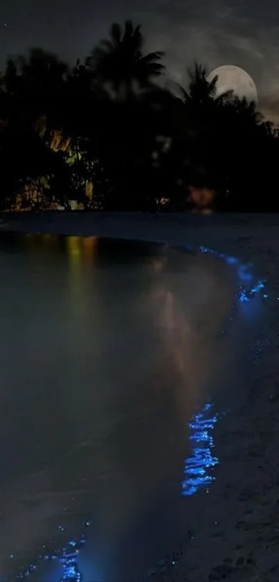 A serene beach at night with glowing waves and a moonlit sky.