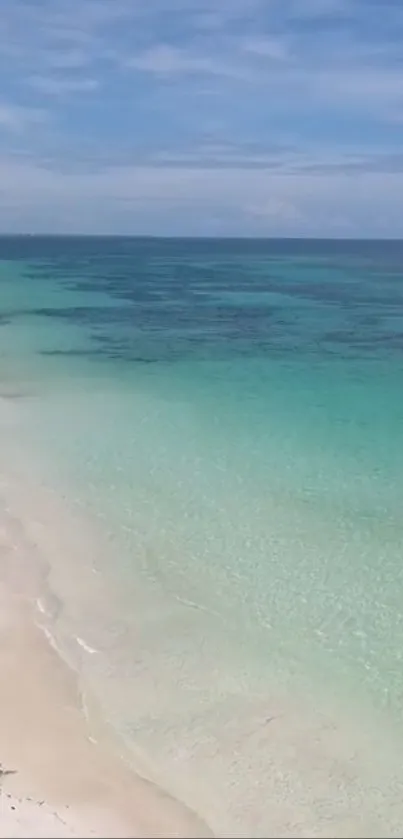 Beautiful beach with turquoise water and sandy shore under a clear blue sky.