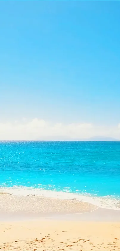 Peaceful ocean beach scene with bright blue sky and gentle waves.