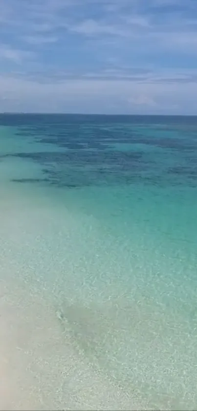 Tranquil beach with turquoise ocean and clear sky.