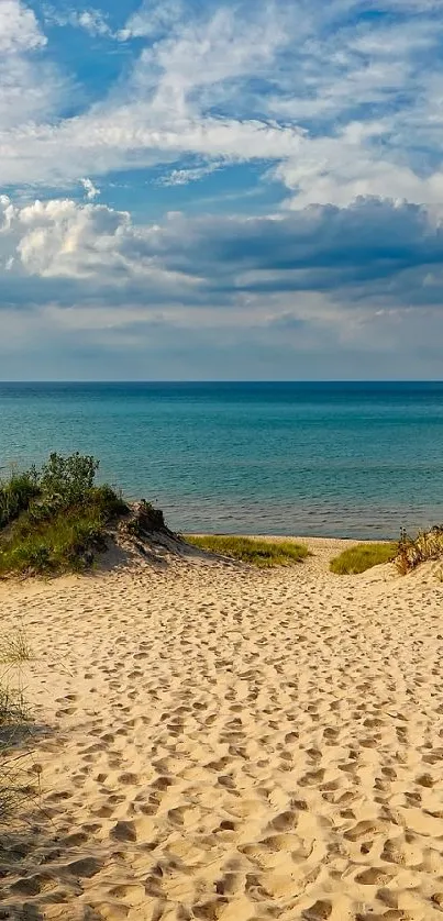 Serene beach path leading to a calm ocean under a blue sky.