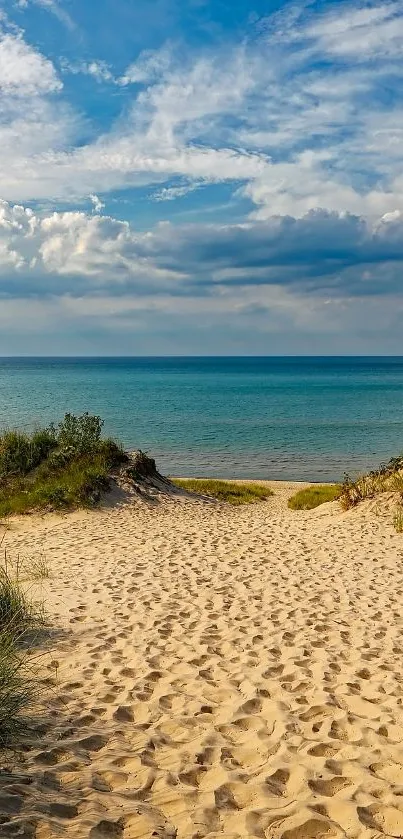 Sandy path leading to a tranquil ocean under a blue sky.