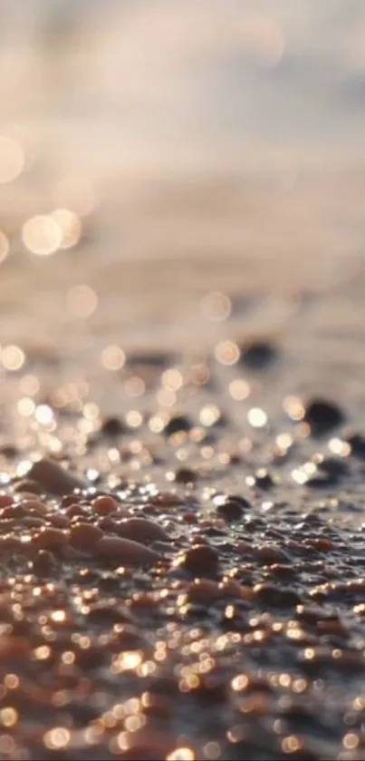 Peaceful beach scene with sunlit pebbles in soft focus.