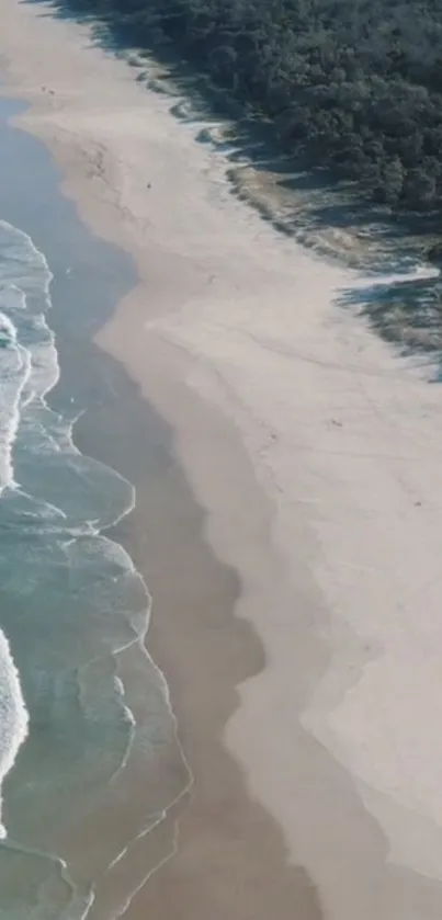 Aerial view of a tranquil beach with rolling waves and lush greenery.