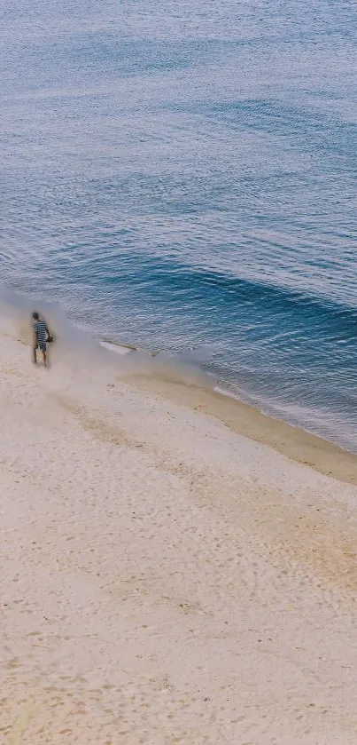 Serene beach wallpaper with blue ocean and sandy shore.