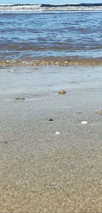 Beach shoreline with calm waves and sandy beach.