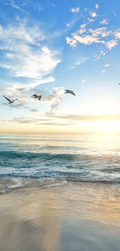 Beach sunrise with seagulls in flight over calm sea.