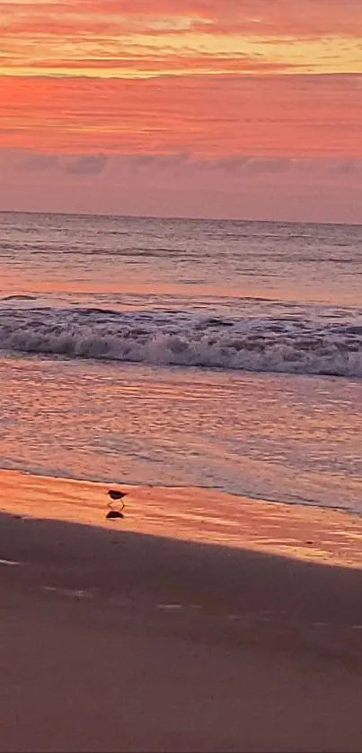 Serene sunset over a calm beach with vibrant orange and pink hues.