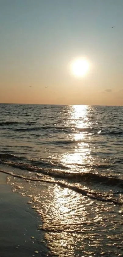 Serene beach sunset with shimmering ocean waves.