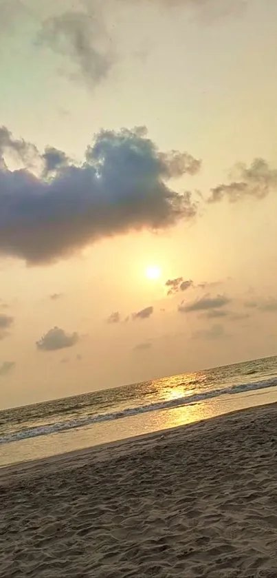 Tranquil beach sunset with golden hues reflecting on the ocean and sand.