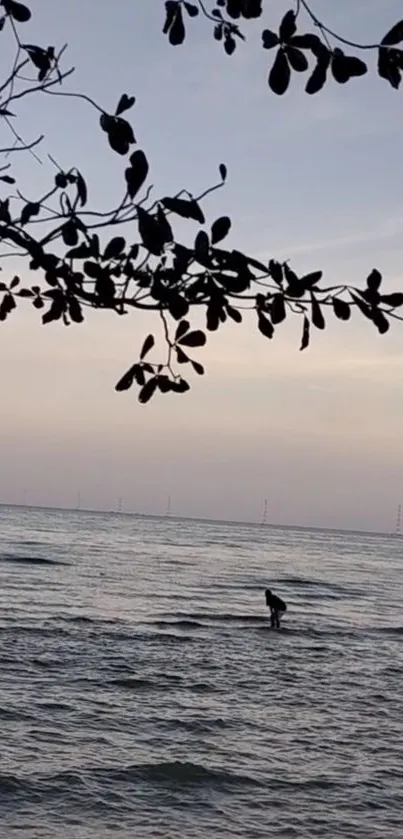 Serene beach at sunset with silhouetted branches and calm ocean waves.