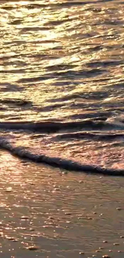 Serene beach at golden sunset with gentle waves reflecting warm light.