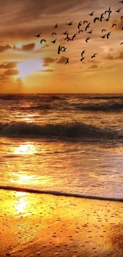 Golden beach sunset with ocean waves and birds in the sky.