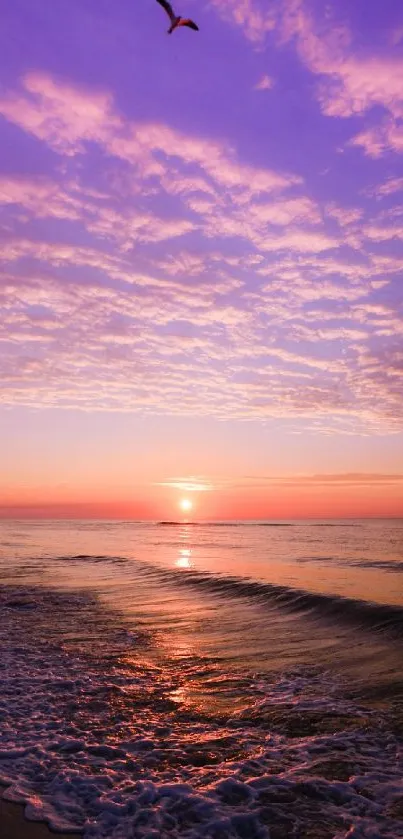 Sunset over tranquil beach with purple skies and gentle ocean waves.