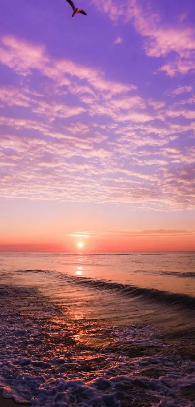 A tranquil beach sunset with purple and pink hues over calm ocean waves.