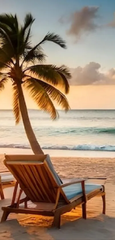 Scenic beach with palm tree at sunset, serene ocean view.