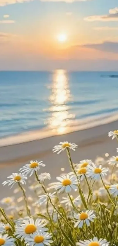 Beach sunset with daisies by the shore, casting a serene glow.