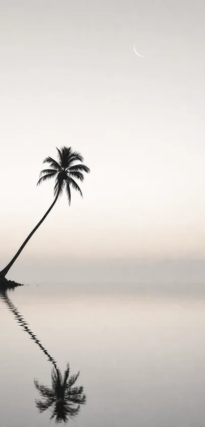 Palm tree silhouette against a serene beach sunset.
