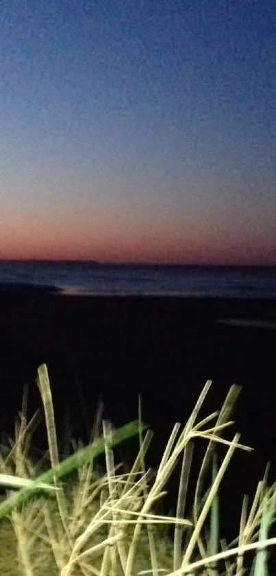 A calming beach sunset with dusk hues over the ocean and shoreline grass.