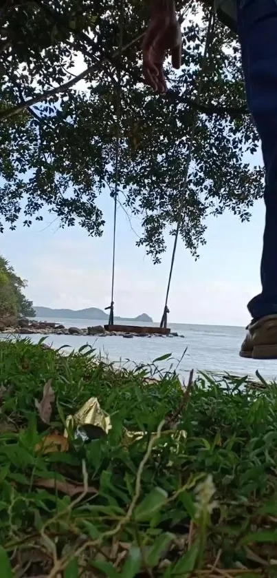 A peaceful beach scene with a swing hanging from a tree, overlooking the ocean.